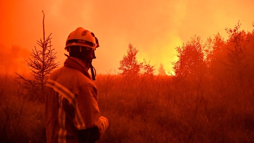 Feuerwehrmann schaut auf den Brand im Hohes Venn am 17.08.2026