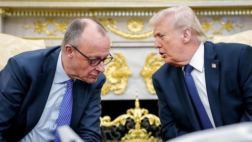Friedrich Merz und Donald Trump