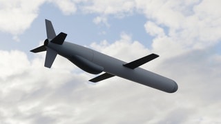 Der amerikanische Marschflugkörper Tomahawk