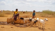 Ein Hilfsprojekt der ArcheNova in Somalia 