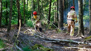 Mitglieder der freiwilligen Feuerwehr Simmerath graben Feuerschneisen in den Wald. (Archivfoto vom 17.07.2026)