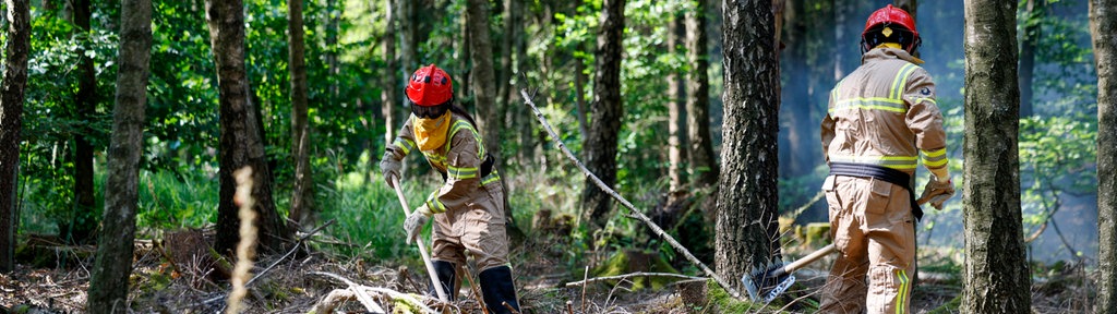 Mitglieder der freiwilligen Feuerwehr Simmerath graben Feuerschneisen in den Wald. (Archivfoto vom 17.07.2026)