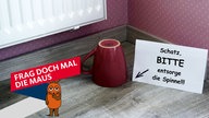 Ein Zettel mit der Aufschrift "Schatz, BITTE entsorge die Spinne!!!" steht neben einer umgedrehten Tasse auf dem Fußboden. 