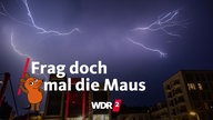 Blitze erhellen den Himmel über einer Häuserreihe in Düsseldorf (Archivfoto vom 11.08.2020)
