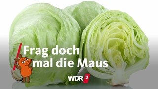 Eisbergsalat