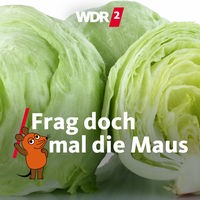 Eisbergsalat