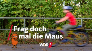 Ein Kind fährt auf einem Fahrrad an herbstlichen Bäumen vorbei