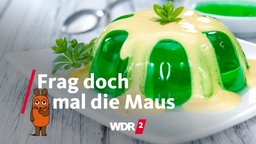 Waldmeister-Götterspeise mit Vanillesauce ist auf einem weißen Teller angerichtet (Archivfoto vom 21.07.2023)