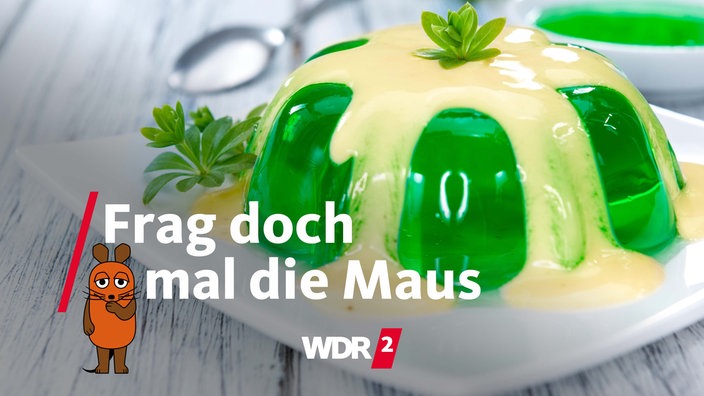 Waldmeister-Götterspeise mit Vanillesauce ist auf einem weißen Teller angerichtet (Archivfoto vom 21.07.2023)