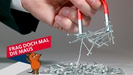 Ein Magnet zieht Nägel an
