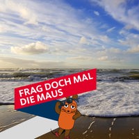 Meeresbrandung mit Schaum an der Nordsee im Abendlicht