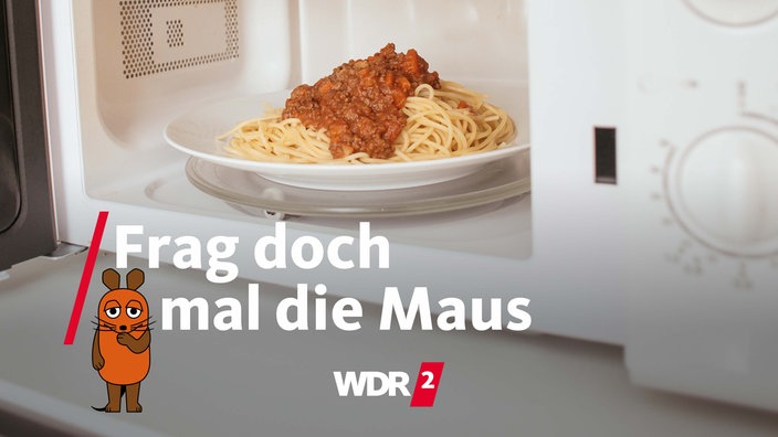 Ein Teller mit Spaghetti Bolognese steht in einer Mikrowelle