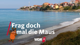 Strand an der türkischen Schwarzmeerküste (Provinz Sinop)