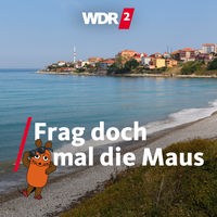 Strand an der türkischen Schwarzmeerküste (Provinz Sinop)