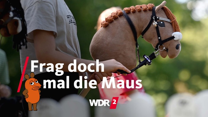 Ein Mädchen hält ihre Hobby Horse beim Hobby-Horsing-Kurs im Berliner Volkspark Wuhlheide (Archivfoto vom 10.10.2023)