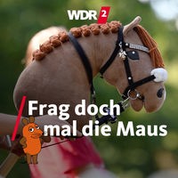Ein Mädchen hält ihre Hobby Horse beim Hobby-Horsing-Kurs im Berliner Volkspark Wuhlheide (Archivfoto vom 10.10.2023)