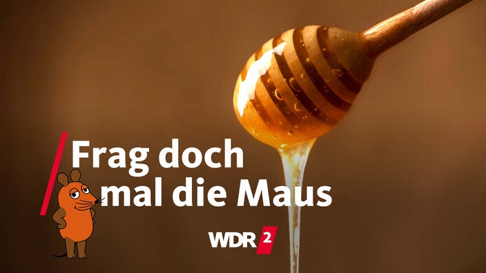Honig tropft zäh von einem Honiglöffel herunter