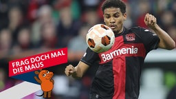 Bayer Leverkusens Amine Adli