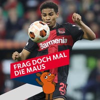Bayer Leverkusens Amine Adli