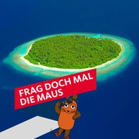 Luftaufnahme einer Malediveninsel