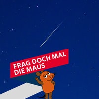 Eine Sternschnuppe am mitternachtsblauen Himmel