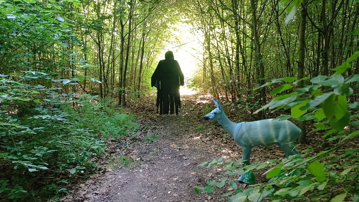 Fantasy-Bogenschießen in Warstein
