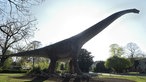 Dinosaurier im Kölner Zoo