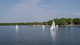 Segelboote auf dem Dreiländersee Gronau