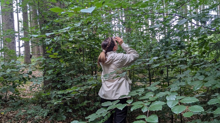 Eine Frau steht in einem Wald und schaut durch ein Fernglas