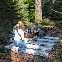 Mehrere Frauen sitzen auf einer Picknickdecke in einem Wald