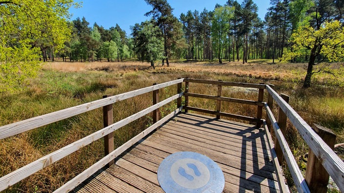 Galgenvenn-Wanderweg: Heide, Moor, See & Wald