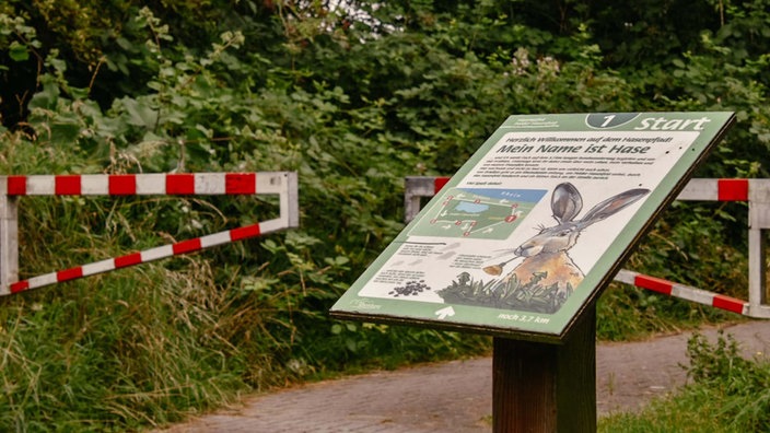 Hasenpfad in Reinberg-Eversael