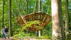 Nieheimer Kunstpfad: "Windwiege"