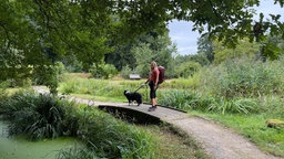 Bloggerin Dina unterwegs mit Hund auf dem Landstreifer-Rundwanderweg "Wild Wald Weitsicht"