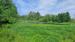 Über Steine geht es auf dem Wanderweg durchs Wasser
