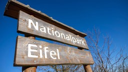 Rangertouren im Nationalpark Eifel
