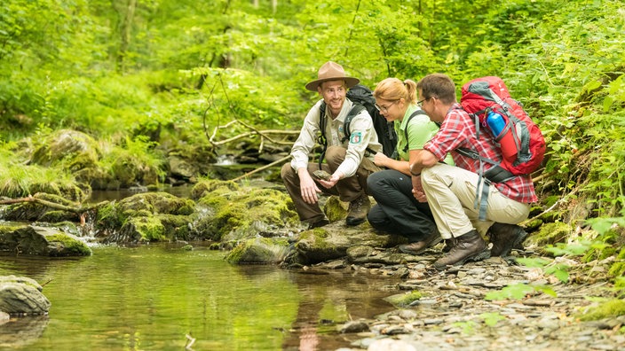 Rangertouren im Nationalpark Eifel