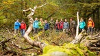Rangertouren im Nationalpark Eifel