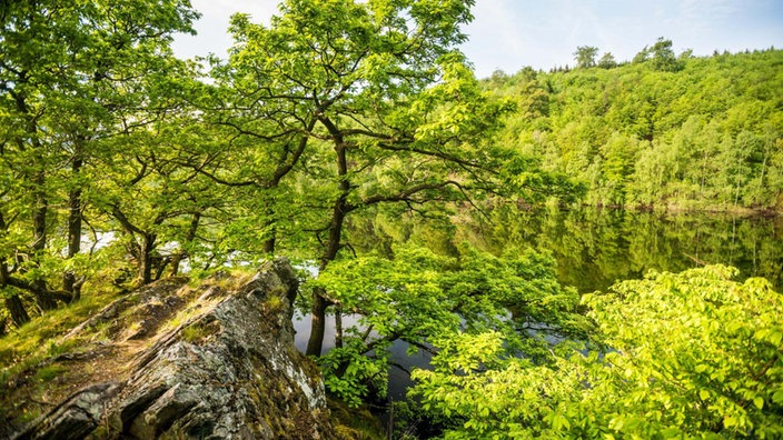 Rangertouren im Nationalpark Eifel