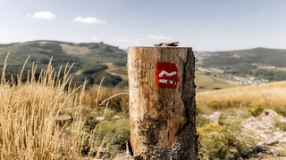 Rothaarsteig