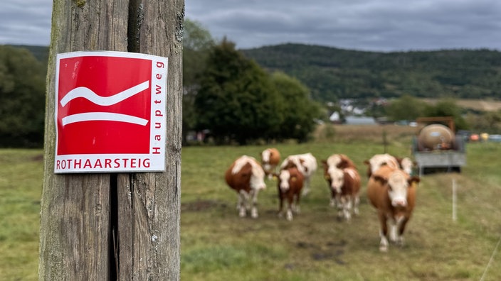 Rothaarsteig: Wegmarkierung