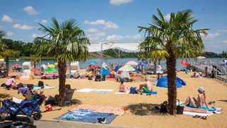 Badegäste sonnen sich zwischen Palmen am Sandstrand des Seeparks Zülpich