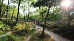 Galgenvenn: Naturbelassene Wanderwege