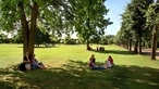 Picknick im Archäologischen Park in Xanten