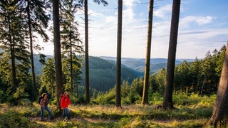 Wandernde auf einem Wanderweg im Sauerland