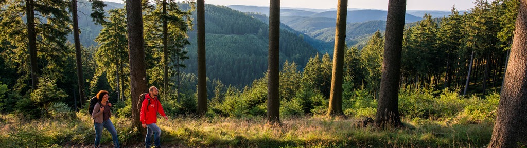 Wandernde auf einem Wanderweg im Sauerland