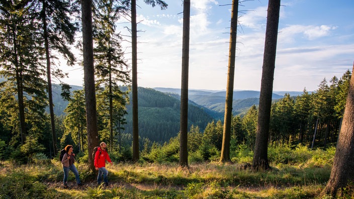 Wandernde auf einem Wanderweg im Sauerland