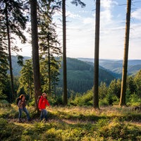 Wandernde auf einem Wanderweg im Sauerland
