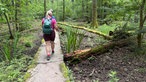 Wanderer auf der Sauerland-Waldroute