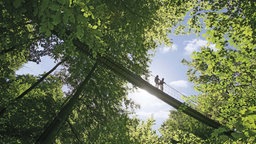 Wanderer auf der Hängebrücke bei Kühhude, Rothaarsteig